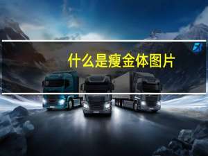 什么是瘦金体图片（什么是瘦客户机）