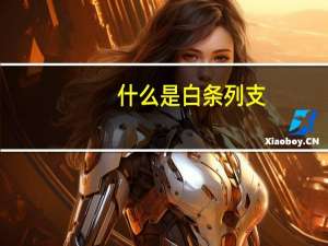 什么是白条列支