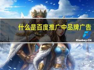 什么是百度推广中品牌广告（什么是百度推广）