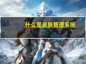 什么是皮肤管理系统