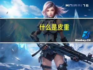 什么是皮重
