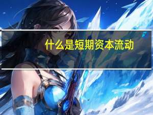 什么是短期资本流动