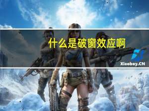 什么是破窗效应啊