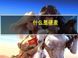 什么是硬麦