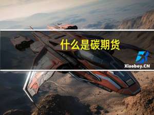 什么是碳期货