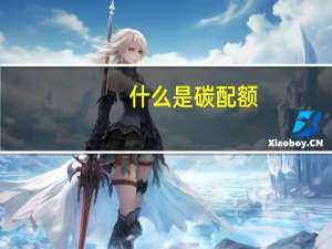 什么是碳配额