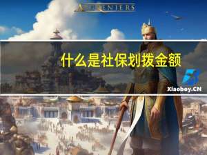 什么是社保划拨金额