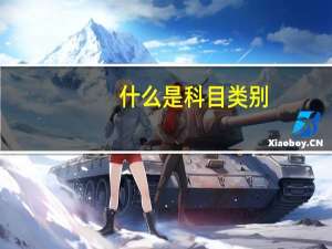 什么是科目类别