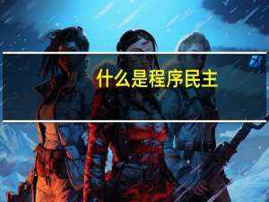 什么是程序民主