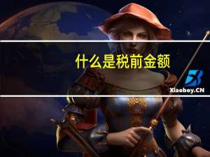 什么是税前金额