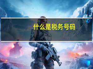 什么是税务号码
