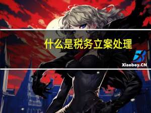 什么是税务立案处理