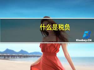 什么是税负