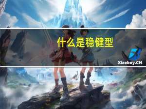 什么是稳健型