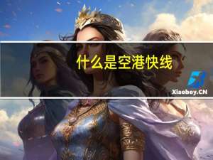什么是空港快线