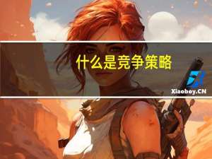 什么是竞争策略