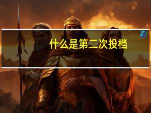 什么是第二次投档
