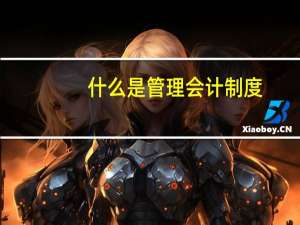什么是管理会计制度