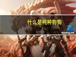 什么是纯种狗狗