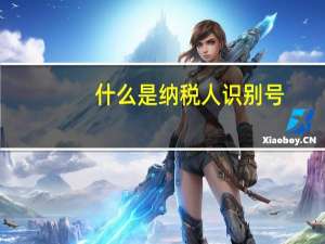 什么是纳税人识别号