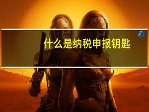 什么是纳税申报钥匙
