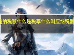 什么是纳税额什么是税率 什么叫应纳税额什么叫税率
