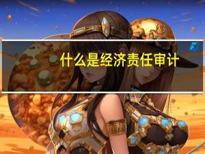 什么是经济责任审计