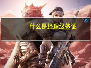 什么是经理级签证(经理级别)