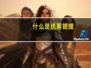 什么是统筹管理