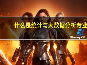什么是统计与大数据分析专业