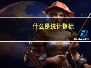 什么是统计指标
