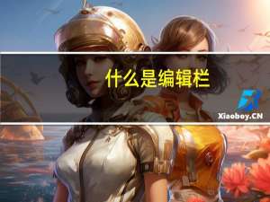 什么是编辑栏