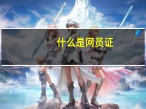 什么是网员证