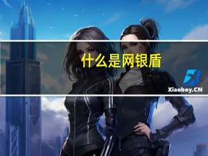 什么是网银盾（什么是网银）