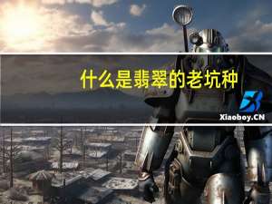 什么是翡翠的老坑种