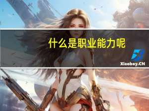 什么是职业能力呢
