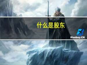 什么是股东
