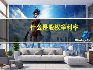 什么是股权净利率