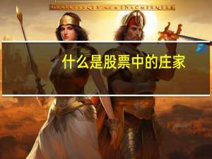 什么是股票中的庄家