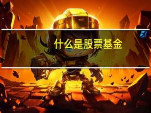 什么是股票基金