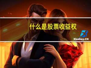 什么是股票收益权