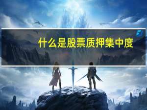 什么是股票质押集中度