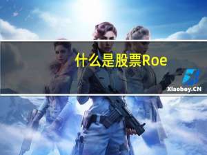 什么是股票Roe