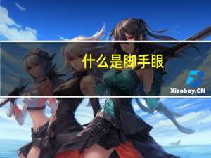 什么是脚手眼
