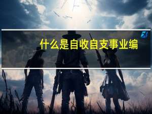 什么是自收自支事业编