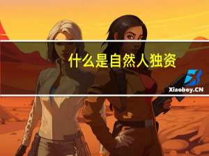 什么是自然人独资