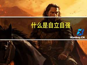 什么是自立自强