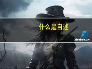 什么是自述