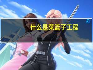 什么是菜篮子工程