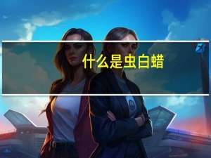 什么是虫白蜡